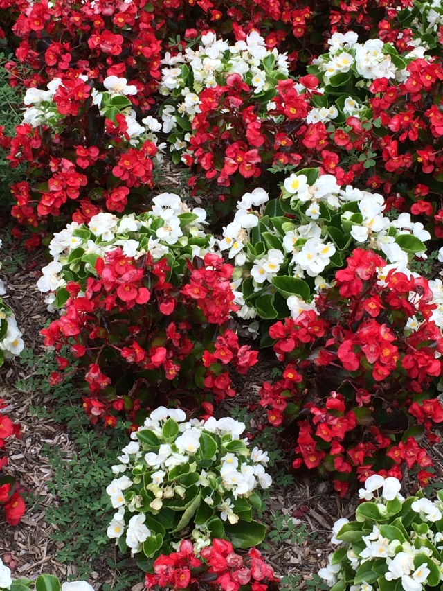 South Mountain Welcome Center / Rest Area