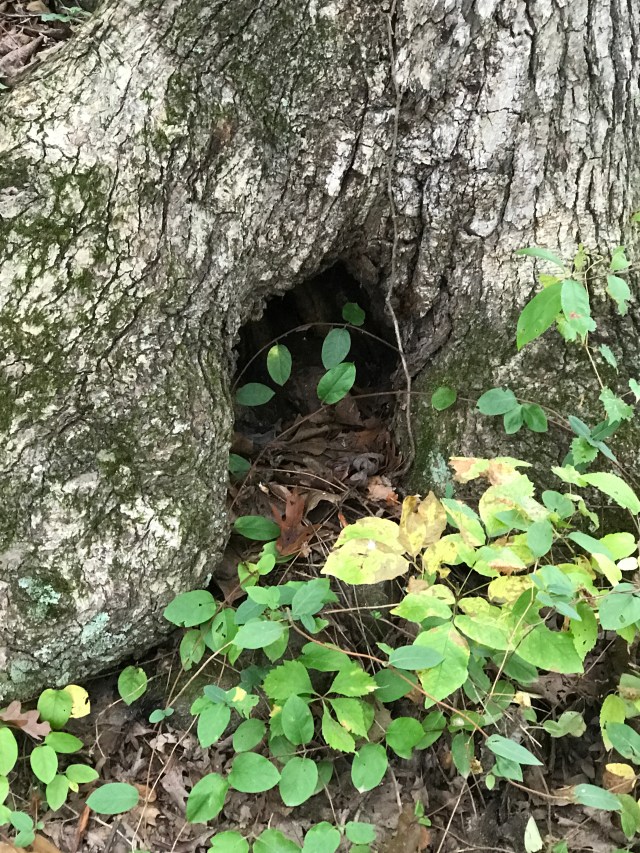 043D0D27-5D6A-4B98-A738-F4EEA7C002FE