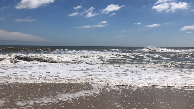 0FD4AD64-E828-4A23-A639-648475A0452B