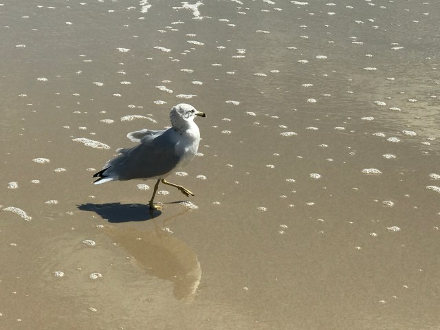 160657A3-F1CE-4F9B-8C7F-9C2C40F9FE33