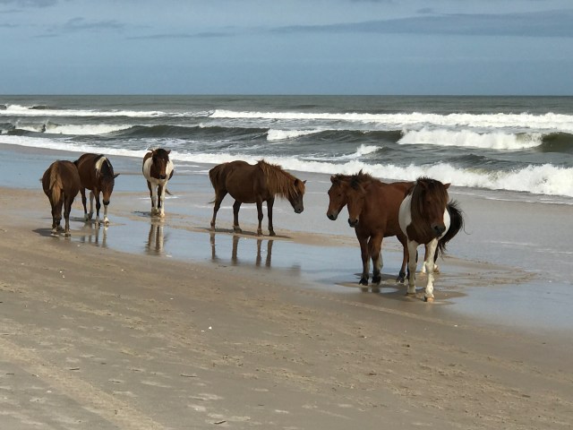 162D7DEE-2DAB-44F2-8DC7-6C945B1D9B7C