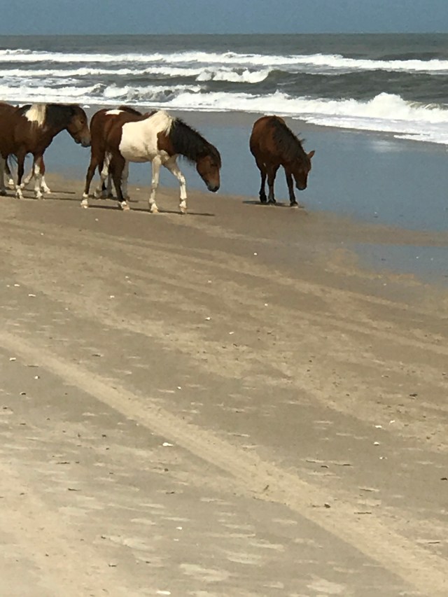 27D497EB-BE99-4B31-AB1C-99E455392921