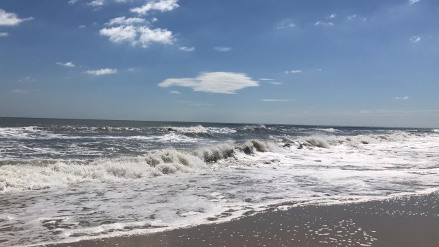 29B01980-B268-42CB-BD9E-0B941B2239EB