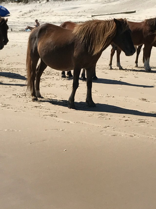 3137AEBD-18ED-447D-8BEF-D283CDA8D3BC