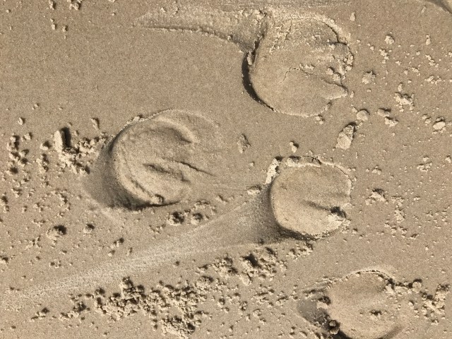 346FE197-1F8D-4B39-8C44-2F448DAB62BA