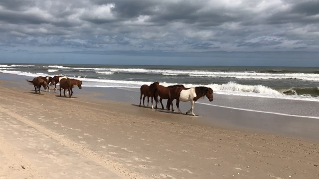 39419550-2934-47AC-9CBD-2047CAFB884D