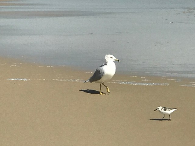 46E200D4-26DB-4C67-98A7-AC9B6F492090