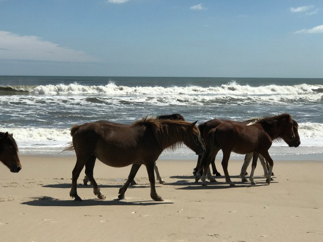 5542CB39-3891-4ADC-B2A3-A9330E31DE08