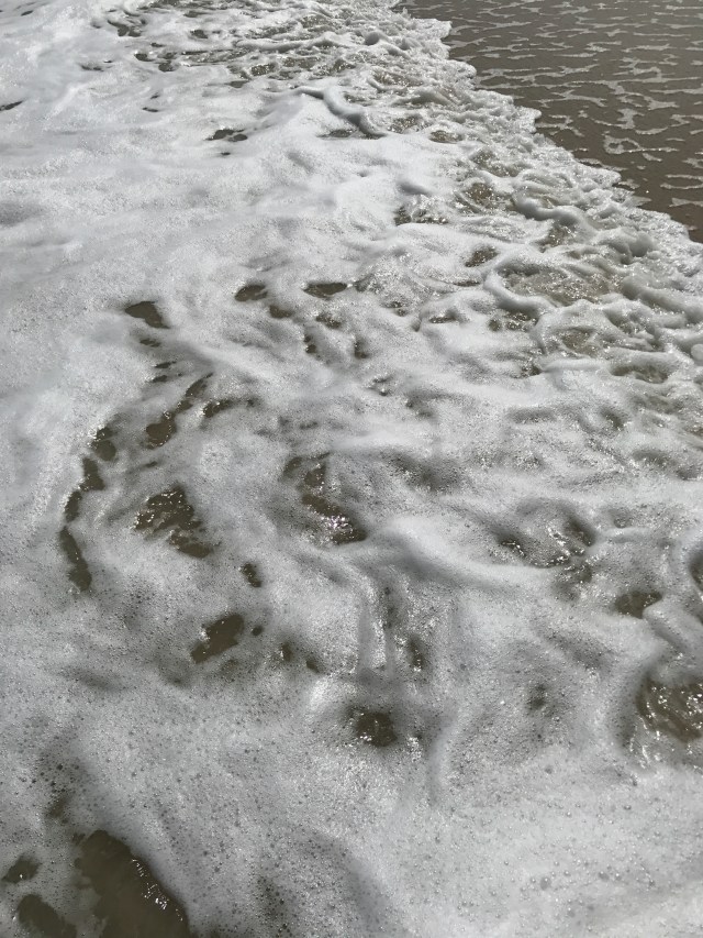 5AB76B2C-0B15-4AC2-8F25-BFFC3308D43D