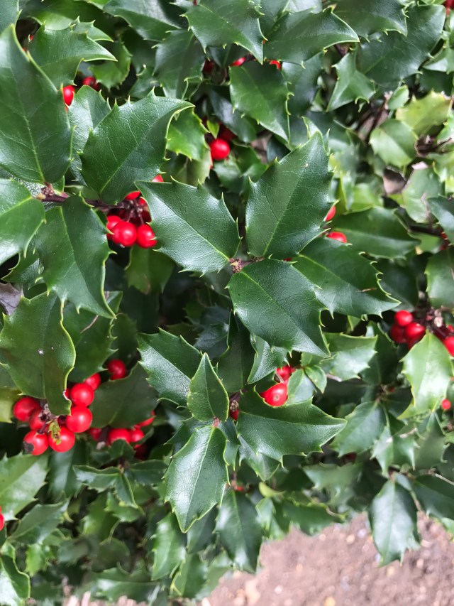 60C9C5B0-D237-4FBA-AE16-16F9656F720B