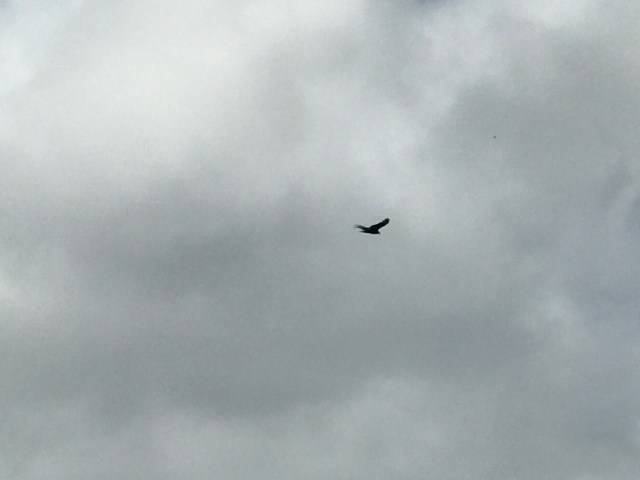 62FD3D71-323E-449C-A841-243C693A50E3