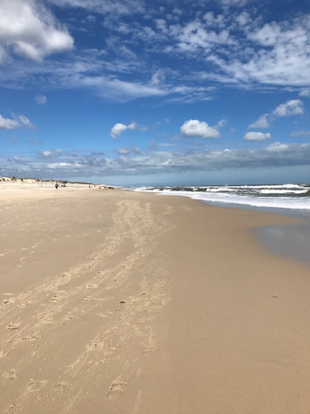 650FE96F-D237-48F5-B3BB-0AA23A9BEEB4