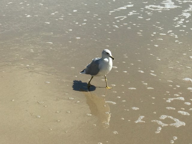 6A9A6C0B-6644-4E47-BE73-3A4AC885C77B