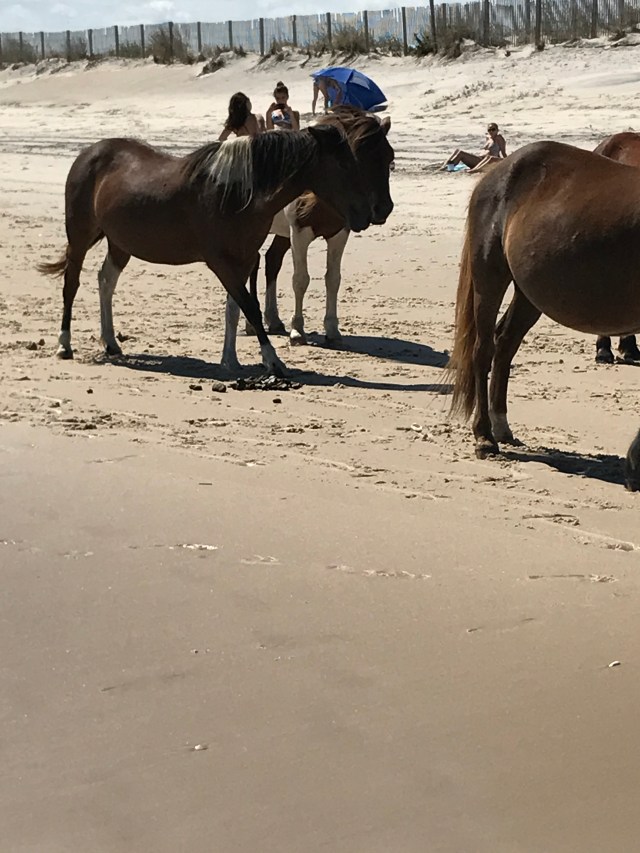 77D64312-C6F2-4FCB-BD8E-3E8A896EC0E9