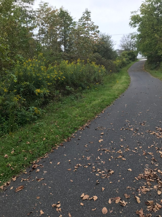 7855DB36-8FAB-4764-8AB2-46391A5AAB72