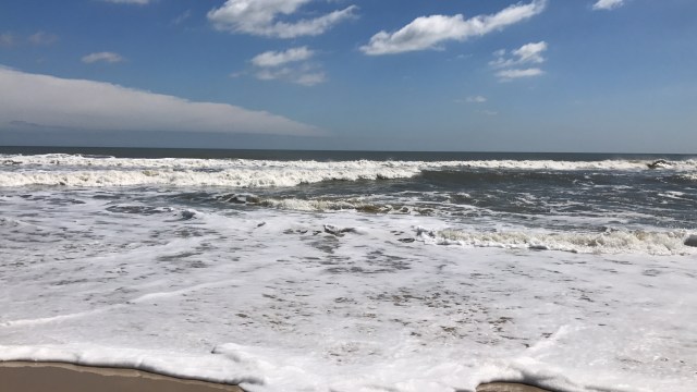 7A3762B3-C67F-4D2E-AE2E-E83855141727