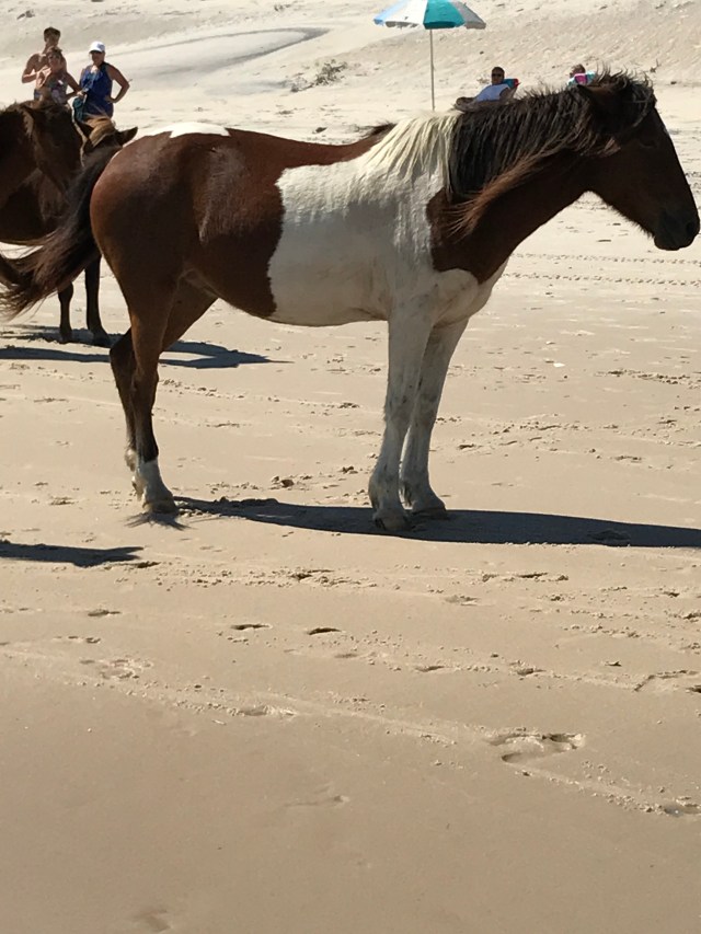 7E647E5B-2DE3-46E7-8915-CBD38E7AEA4C