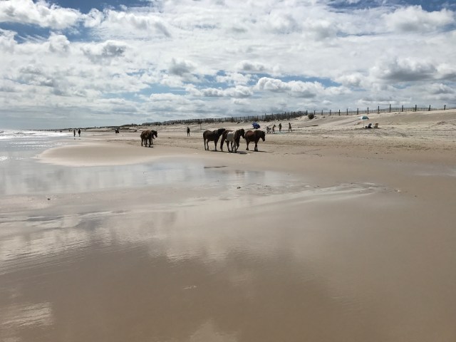 804A095C-30A8-4BB4-8AB5-2DAEE5321EA2