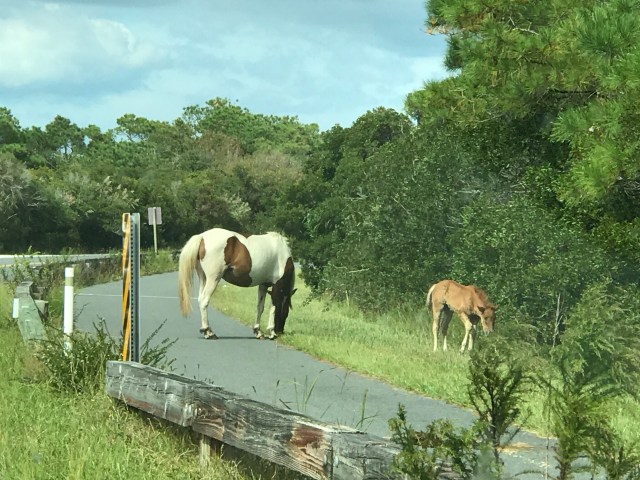 82CD2559-9520-4977-8837-DFEBA650CE53