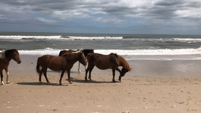 88209849-F0E9-41CD-9BF6-D2DEC64A654F