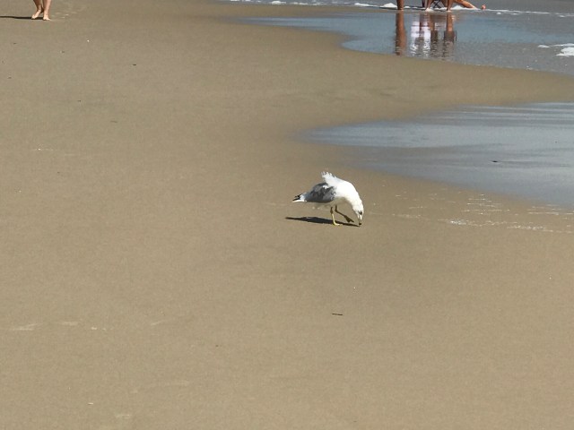 88D71A11-692B-4A72-94D9-A1C69E8373AE