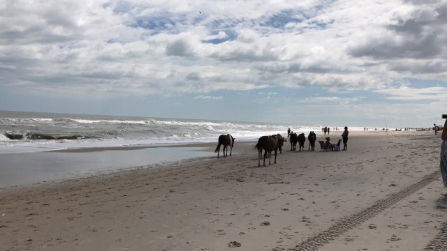 9CFFD8C9-86DC-4EB0-A4E7-629F9B2EAC70