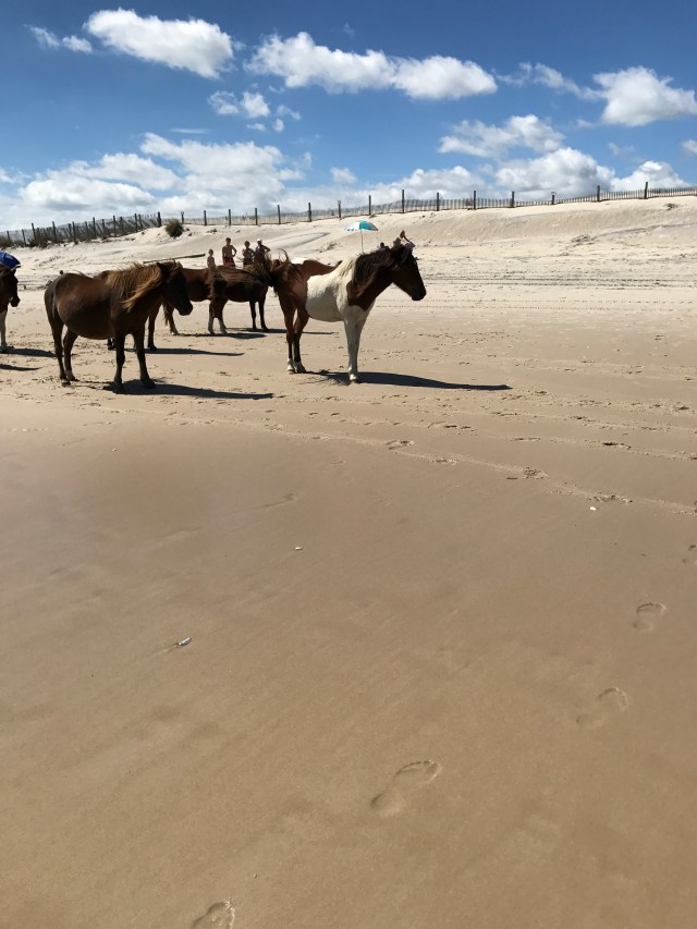 A1460280-E6CB-49FD-AA87-5BA1DFD162DD