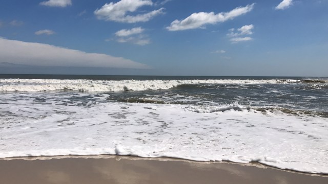 A33A2665-595F-4AEE-94E8-8F0464043DC2