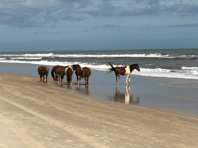 A992661E-E3B2-4346-ACB8-AC3A36DD055C