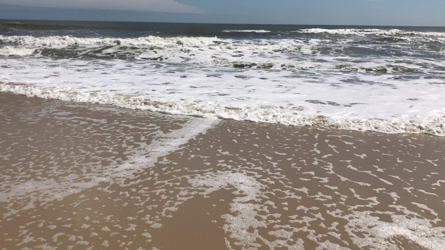 AFAB7FCB-E250-4E00-B7DB-4B6C68FAAFA2