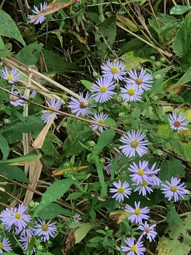 B2470512-14CF-4629-8D44-9186941C4757