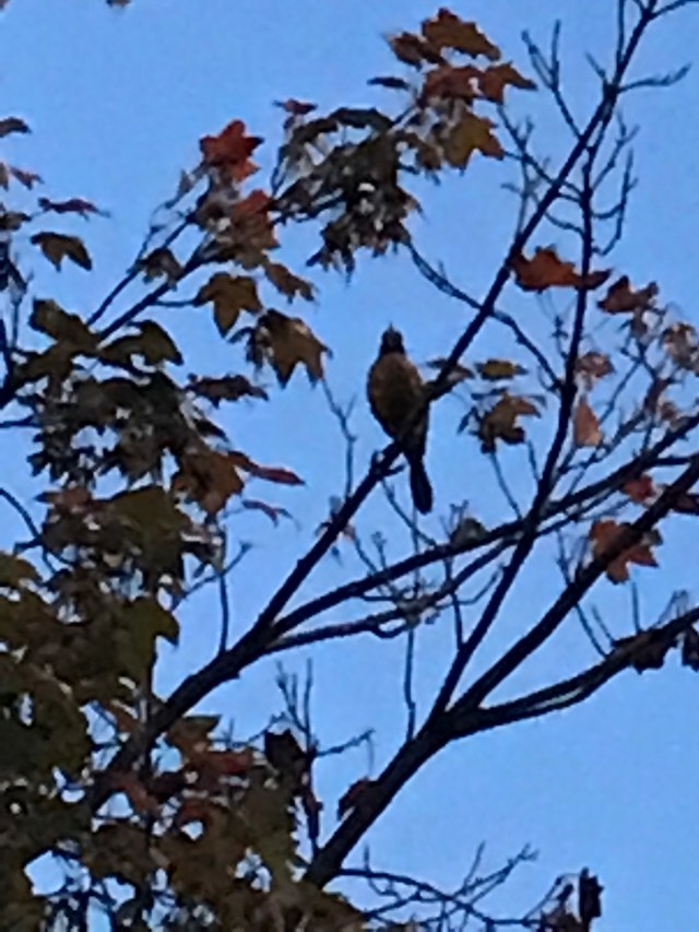 BFE2570B-5C78-4CE4-A433-84F2D29D1C93