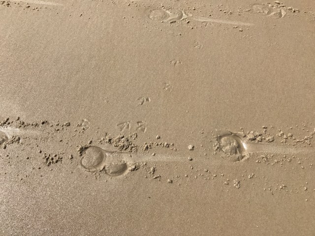 C533151F-D5E7-4892-AF8F-A587612B51B6