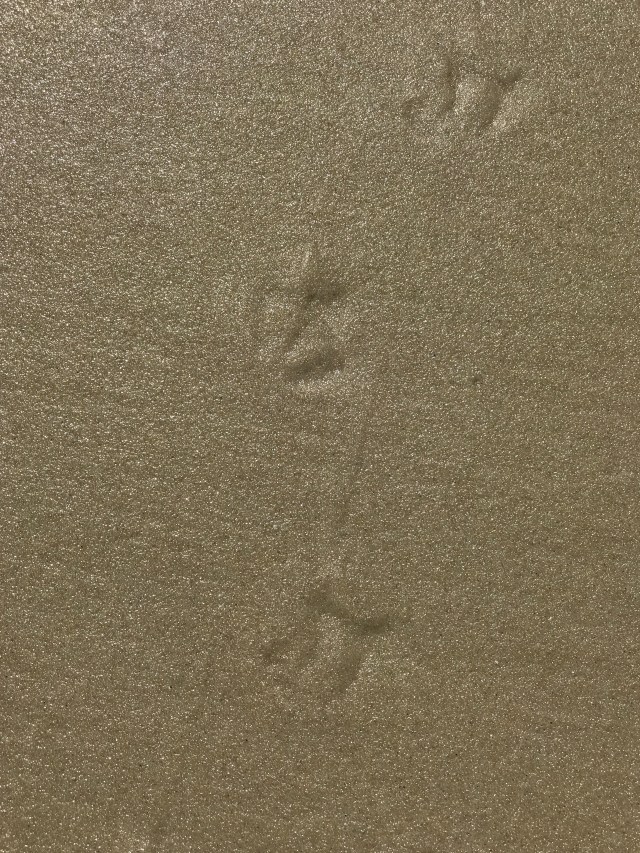 CEA2530F-3E2C-407B-B261-017AF15ECB1D