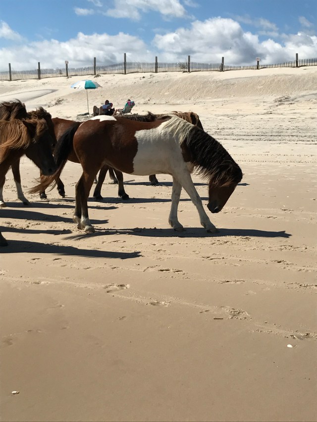 D3E3CBB5-46E5-474F-8D57-DBC4EBFC461B