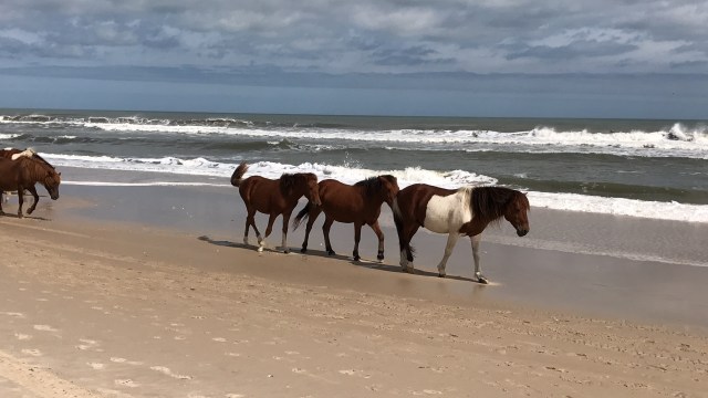 D89903F5-CD62-4CC4-82DE-AB329E5691FF