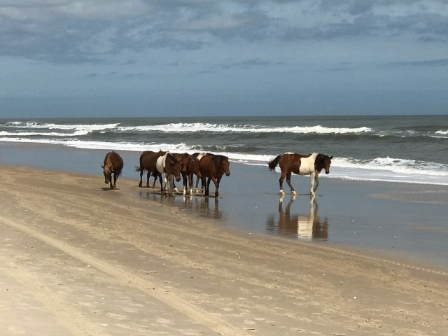 DE06A594-3043-4052-A106-7A55ACB2AA60