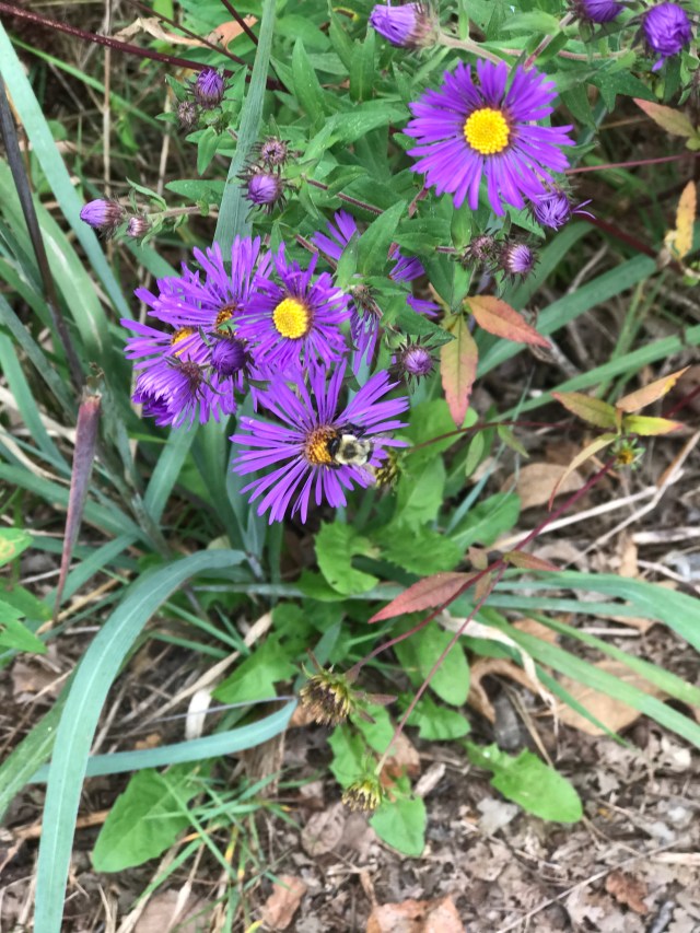 DF8BB68A-81C1-4823-AF45-855D902C8B1C