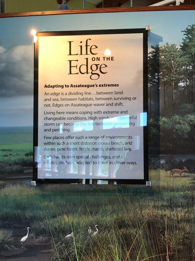 E12C003F-6A86-4175-97DD-48AAA6145934