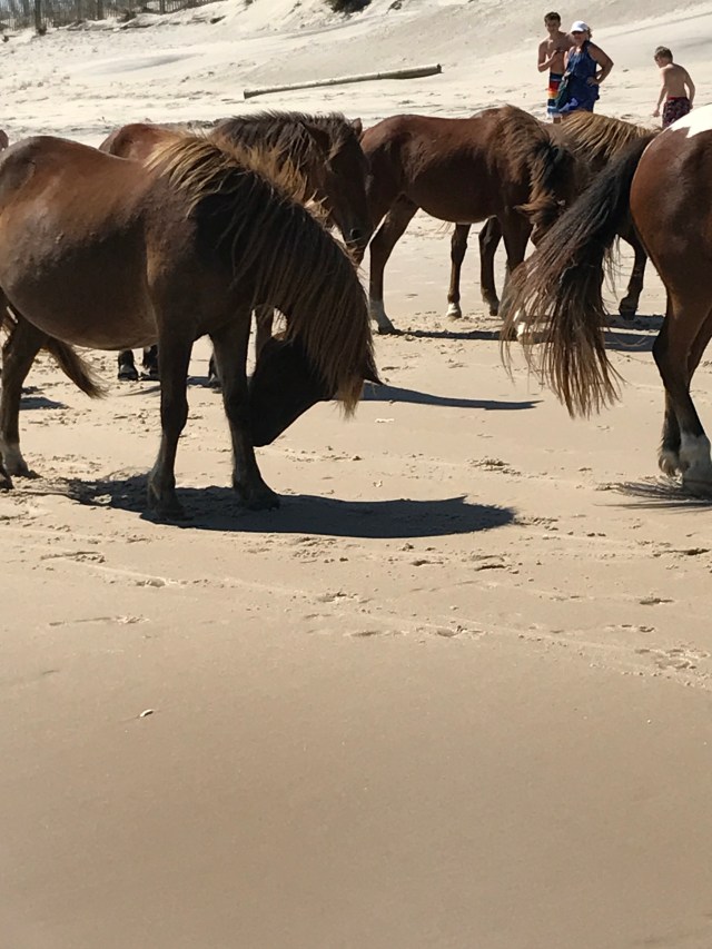 F1FEC219-CCF5-4E85-BB55-849A0DF46229