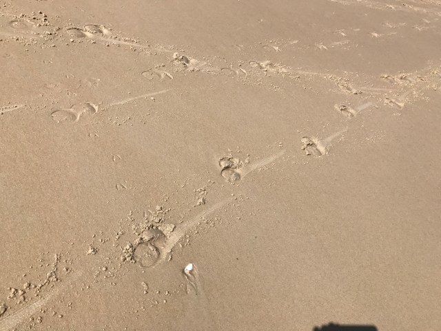 F278ECF4-88DD-4E3F-BC4A-84ED7AF1458D