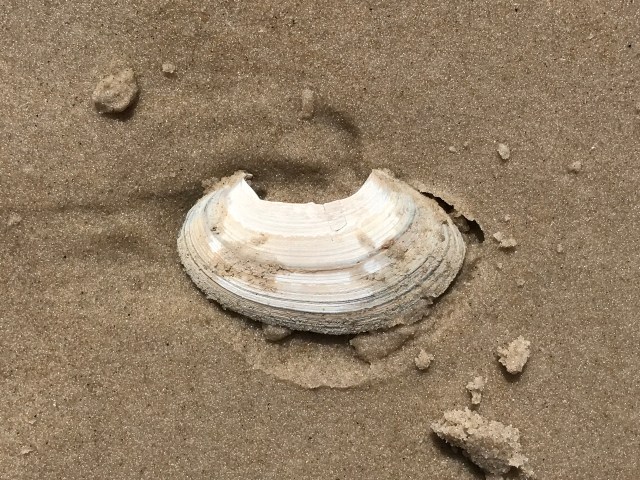 F7BD3804-9B61-4050-BAF2-F912497A8369