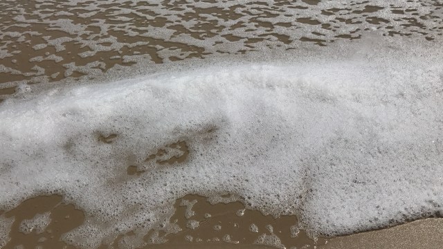 FB3B35A9-790E-4034-9ACE-7084C59BFFF0