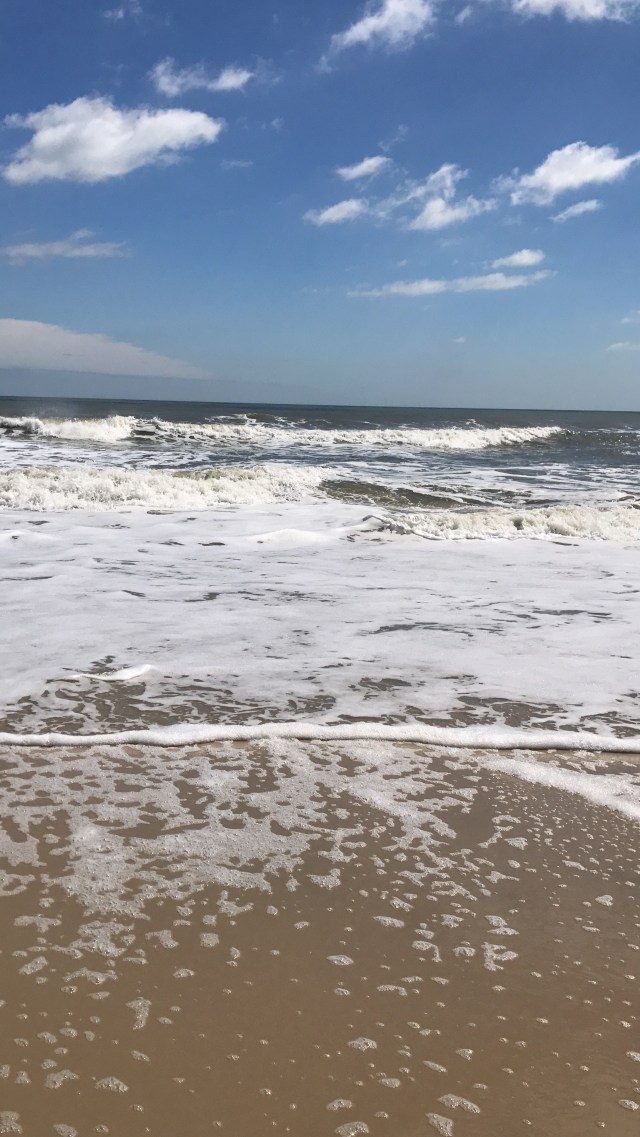 FBDCA024-D277-41E5-89E9-ADC8E95CA6A6