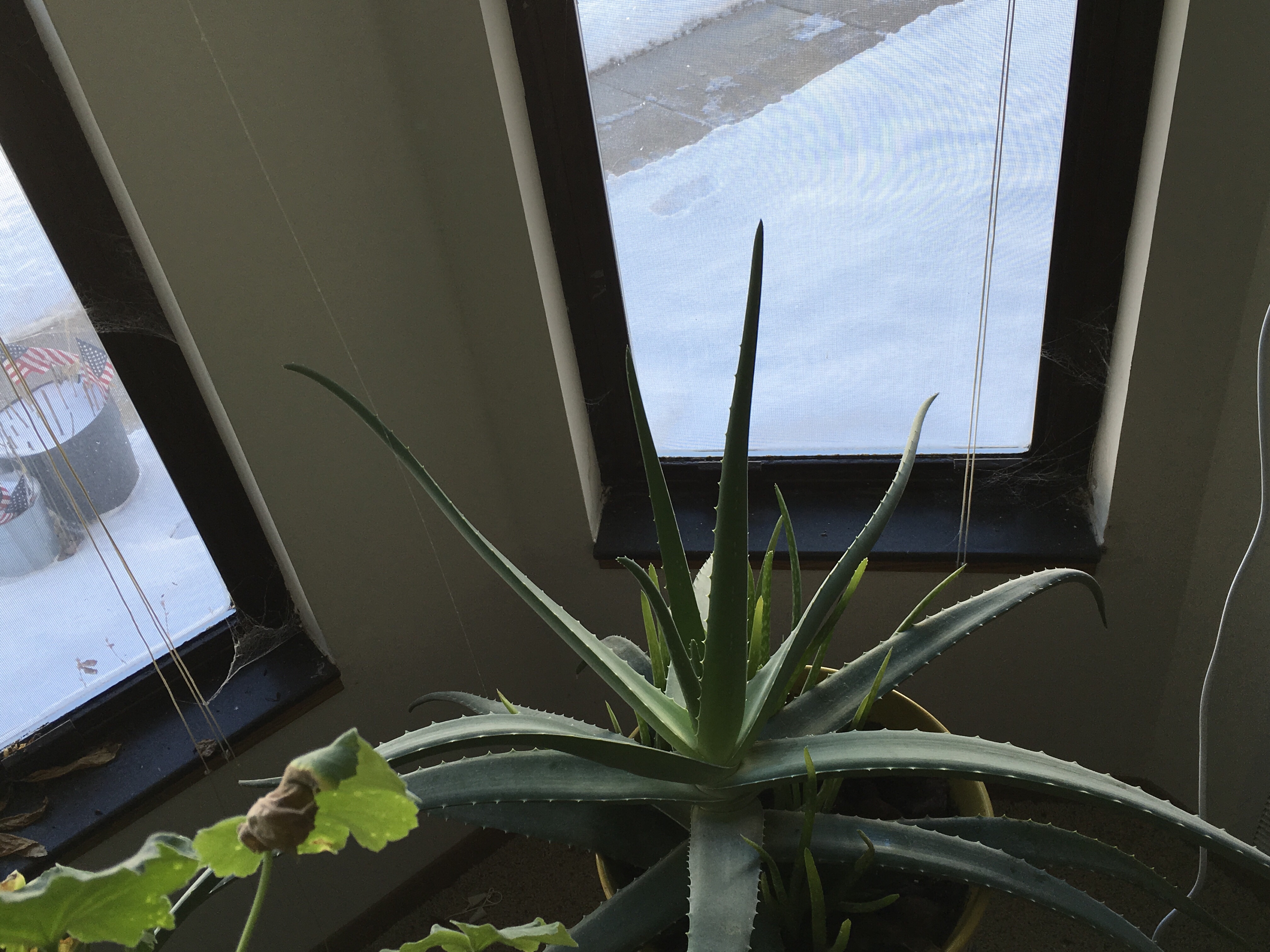 March 2018 – Moments to Share Along the Way